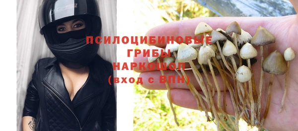 индика Горно-Алтайск