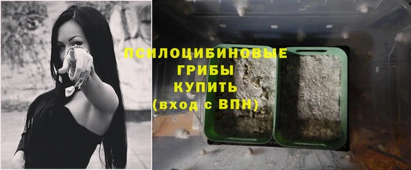 индика Горно-Алтайск