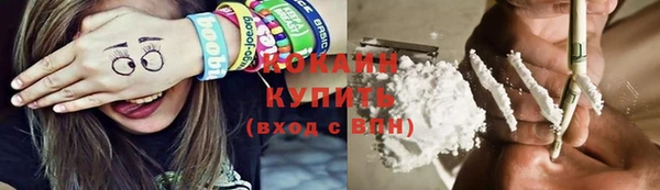 индика Горно-Алтайск