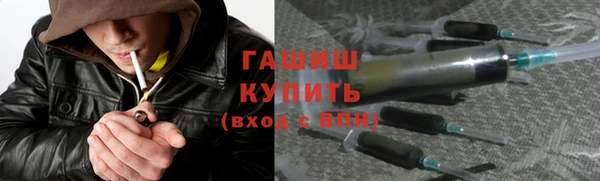 индика Горно-Алтайск