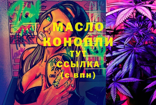 индика Горно-Алтайск