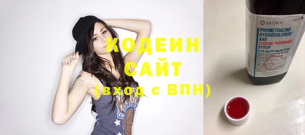 индика Горно-Алтайск