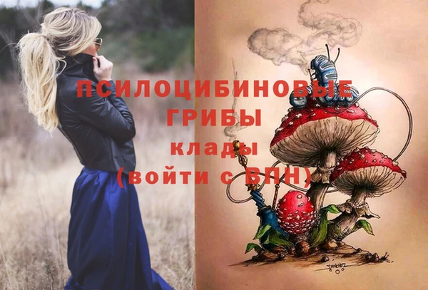 МДПВ Горняк
