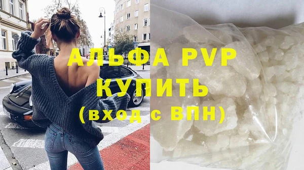 индика Горно-Алтайск