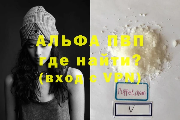 индика Горно-Алтайск