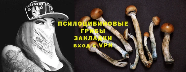 дурь Горнозаводск