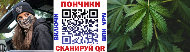 Каннабис OG Kush хочу наркоту Ивантеевка